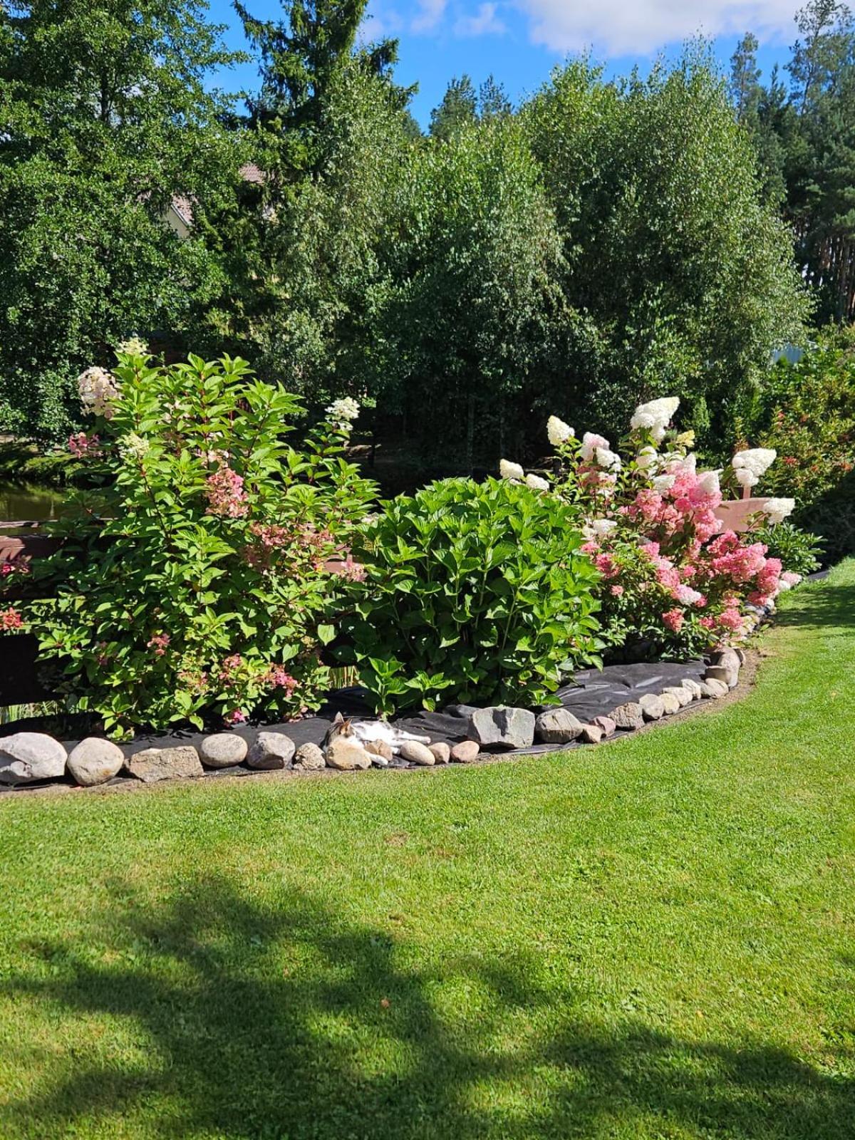 Nad Stawem Holiday home *